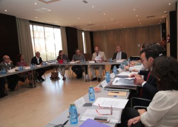 Las instituciones de control externo refuerzan sus actuaciones de colaboración para la fiscalización  y el control del sector público local