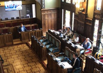 El síndico mayor durante su comparecencia en la Comisión de Hacienda y Fondos Europeos.